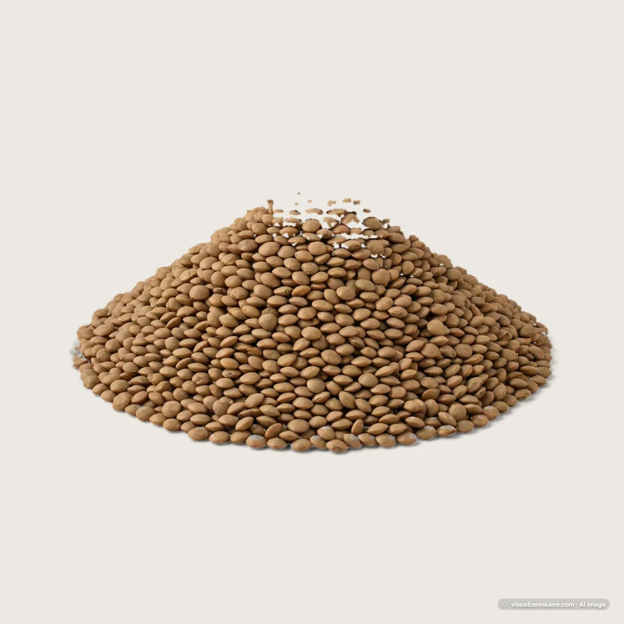 Dried lentils
