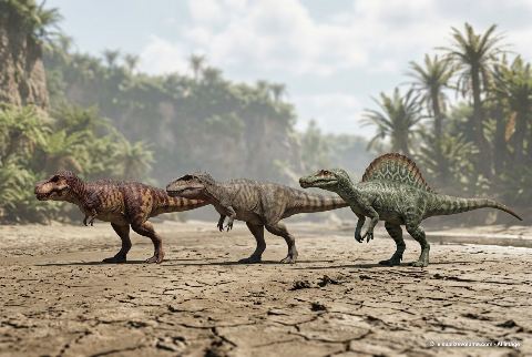 Spinosaurus aegyptiacus, in “T-rex vs giganotosaurus vs spinosaurus”