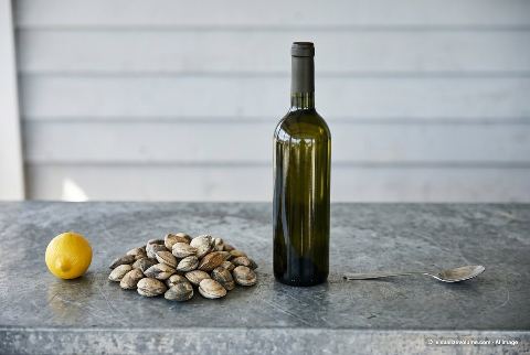Clams in shell, in “What does 500 grams of clams in shell look like?”
