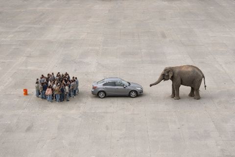How many people weigh as much as an elephant?