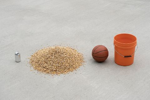 What does 50 pounds of grain look like?