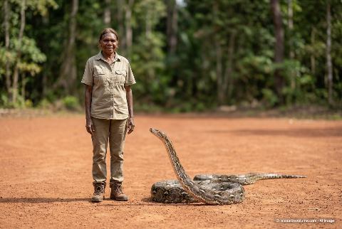 Burmese python, in “Person vs python”