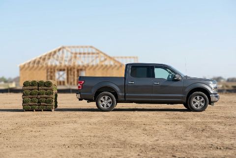Full-size pickup truck, in “Sod pallet vs pickup truck”
