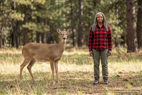 White-tailed deer, in “Deer vs person”