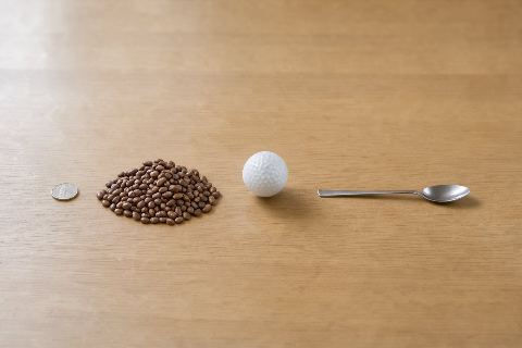 What does 0.5 cups of dried beans look like?