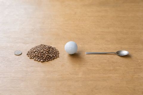 What does 0.4 cups of dried beans look like?