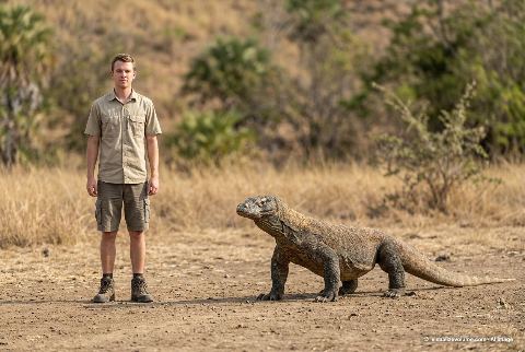 Komodo dragon, in “Person vs komodo dragon”