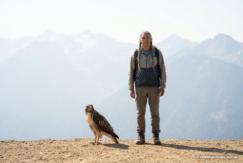 Red-tailed hawk, in “Hawk vs person”