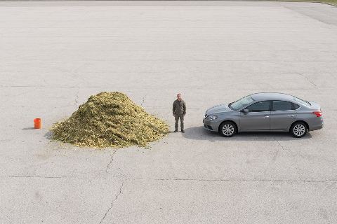 What does 3.75 tons of silage look like?
