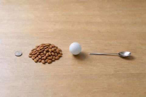 What does 100 grams of almonds (whole) look like?