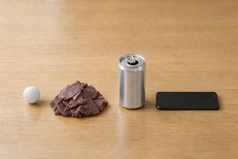 What does 300 grams of beef brisket look like?
