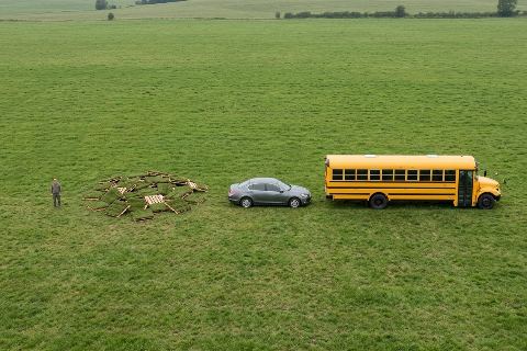 What do 24 sod pallets look like?