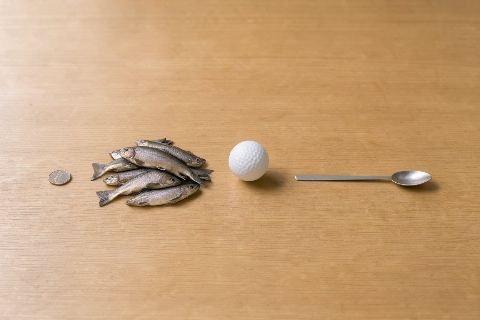 What does 200 grams of rainbow trout look like?