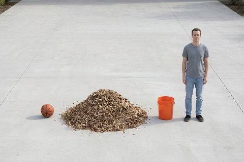 What does 12.5 cubic feet of wood chips look like?