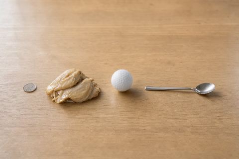 What does 100 grams of cooked chicken breast look like?