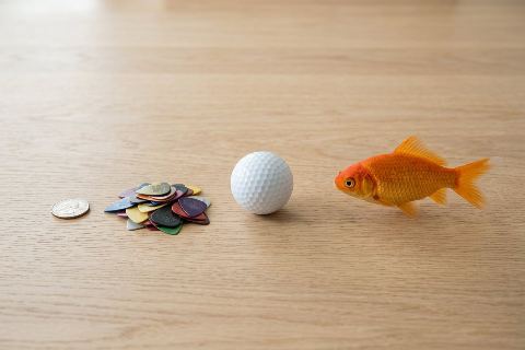How many guitar picks weigh as much as a goldfish?