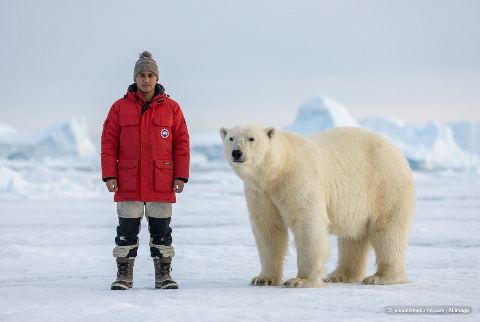 Polar bear, in “Person vs polar bear”