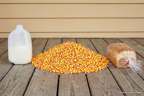 Gallon milk jug, in “What do 10,000 candy corns look like?”