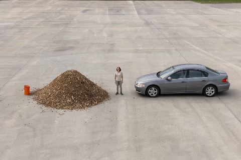 What does 7 cubic yards of wood chips look like?