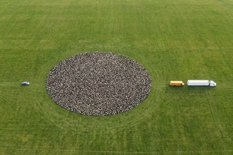 What do 5,000 seals look like?