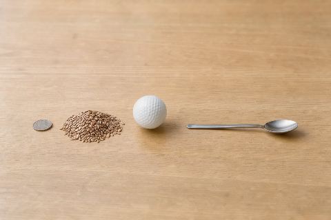 What does 20 grams of flax seeds look like?