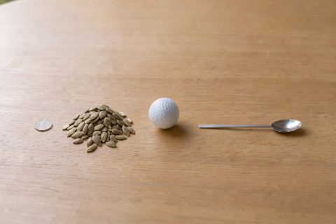 What does 40 grams of pumpkin seeds look like?