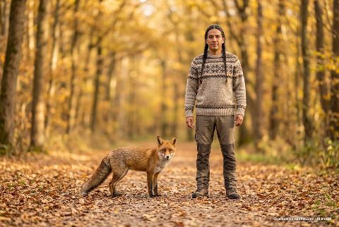 Red fox, in “Fox vs person”
