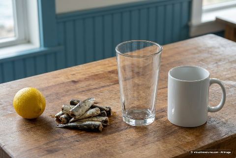 Canned sardines, in “What does 100 grams of canned sardines look like?”