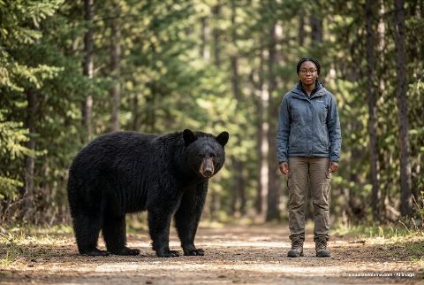 American black bear, in “Black bear vs person”
