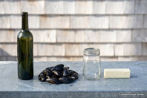 Blue mussel, in “What does 1 pound of mussels look like?”