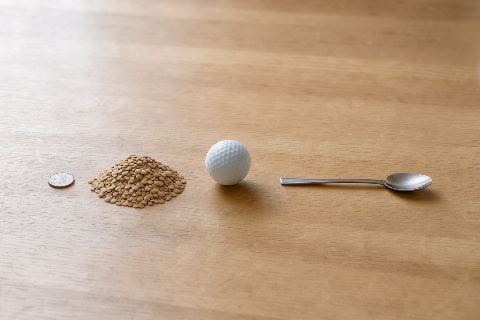What does 50 grams of lentils (dry) look like?