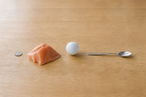What does 4 ounces of mahi-mahi fillet look like?