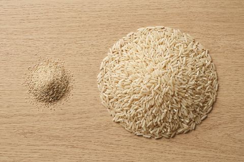 1,000 sand grains vs 1,000 rice grains: size comparison