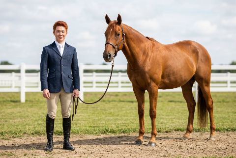 Domestic horse, in “Person vs horse”