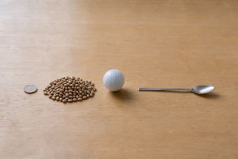 What does 50 grams of dried beans look like?