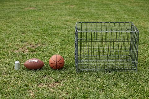How many footballs would fill a dog crate?
