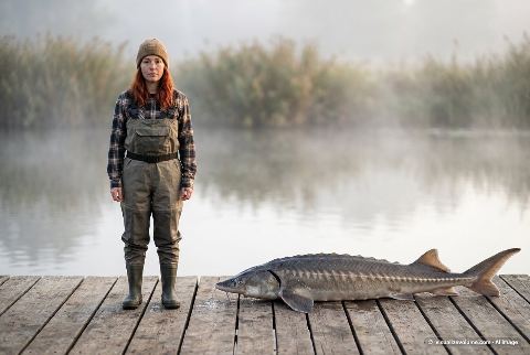 White sturgeon, in “Person vs sturgeon”