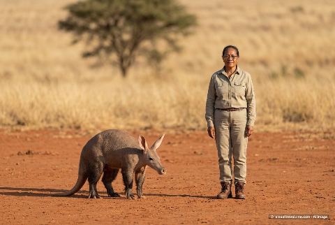 Aardvark, in “Aardvark vs person”