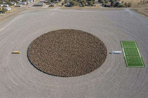 What do 1,000,000 baboons look like?