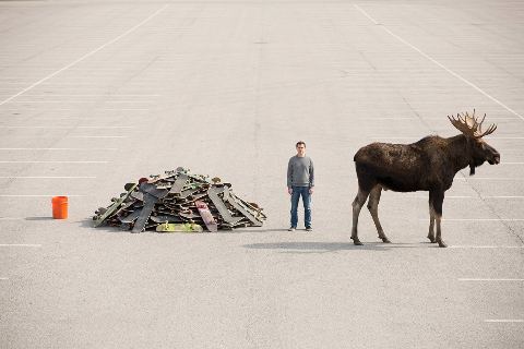 How many skateboards weigh as much as a moose?
