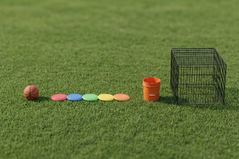 How many frisbees would fill a dog crate?