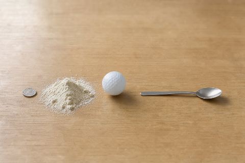 What does 25 grams of plant protein powder look like?