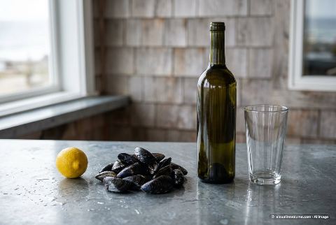 Blue mussel, in “What does 1 pound of fresh mussels look like?”