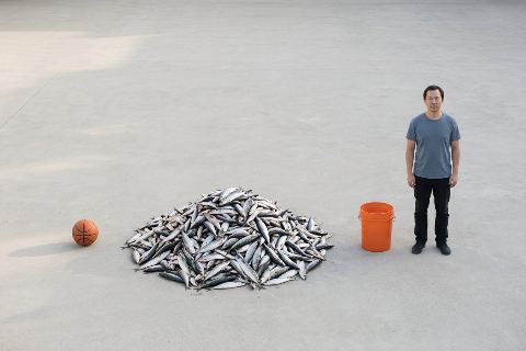What does 500 kilograms of fish look like?