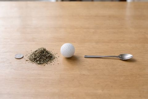 What does 10 grams of dried oregano look like?