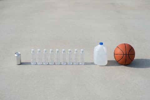 How many water bottles would fill a gallon jug?