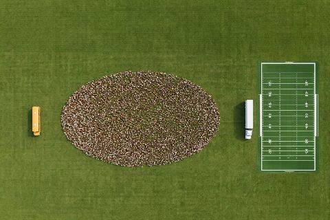 What do 1,000,000 chickens look like?
